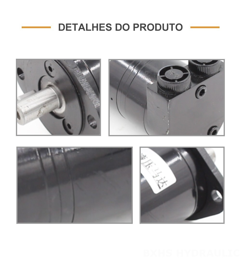 Motor Hidráulico Cicloidal BMM 8 cc/r 14 Lpm Motor hidráulico